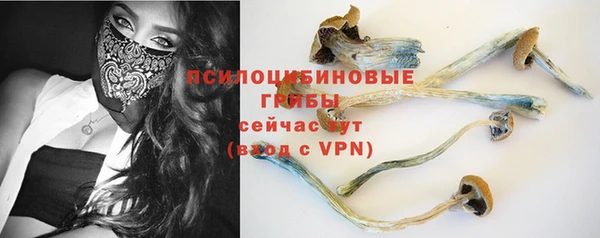 СК Горняк