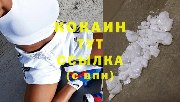 СК Горняк